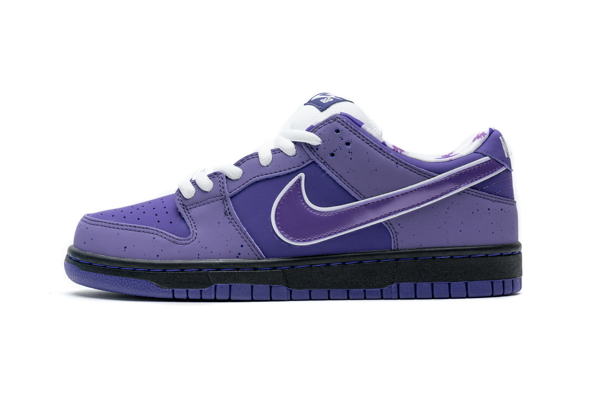 SX Nike Dunk SB